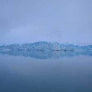 Honey Glazed Carrots