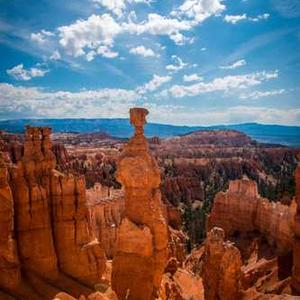 Cinnamon Sugar Tortilla Chips