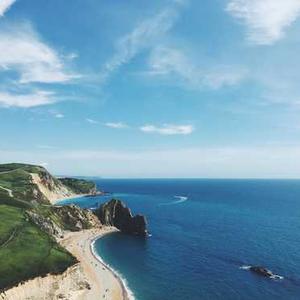 Vegetable Potstickers