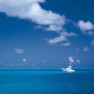 Smart Water Bottle with Hydration Reminder