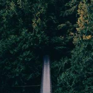 Camera Lens Cleaning Kit