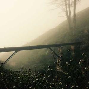 Leather Biker Jacket