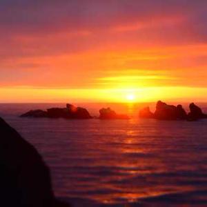 Roasted Vegetable Medley