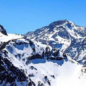 Reusable Coffee Filter