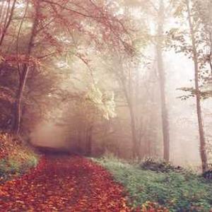 Italian Marinara Sauce