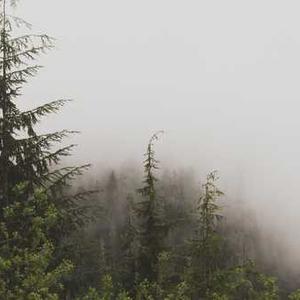 Athletic Jogging Jacket