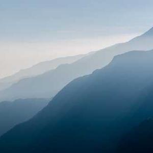 Vegetarian Stir Fry Sauce