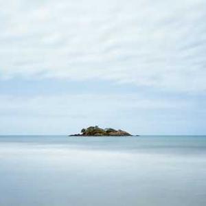 Grilled Veggie Burgers