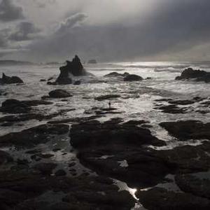 Portable Hammock with Stand