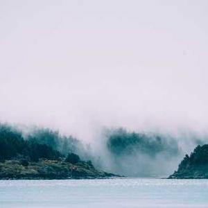 Athletic Jogging Jacket