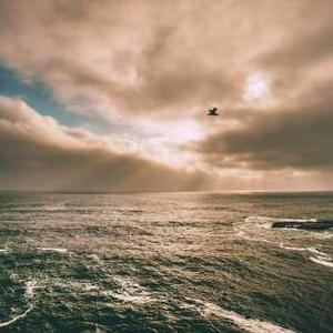 Garden Tool Set with Carrying Bag