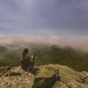 Fruit & Nut Trail Mix