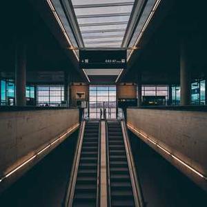 Dog Training Whistle