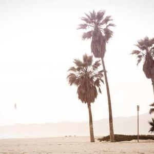 Pet Carrier Backpack