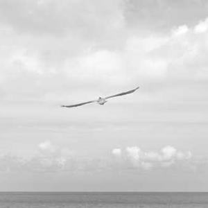 Fitness Resistance Bands