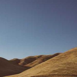 Sweet Potato & Kale Hash