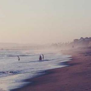 Sports Water Bottle with Infuser