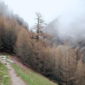 Wireless Car Charger