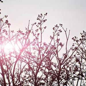 Active Racerback Tank