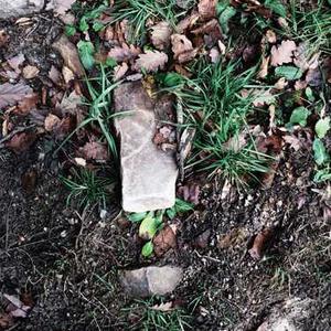 Portable Hammock with Stand