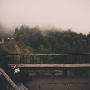 Faux Fur Throw Blanket