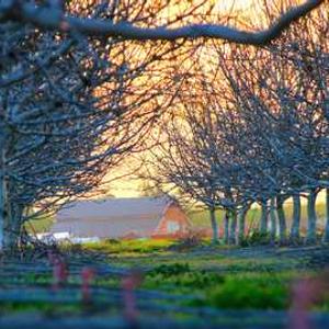 Wireless Charger Stand
