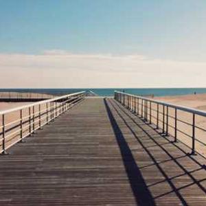 Zesty Garlic Marinade