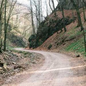 Magnetic Phone Car Mount