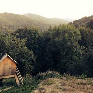 Pumpkin Spice Cookies
