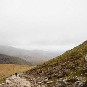 Black Bean Spaghetti