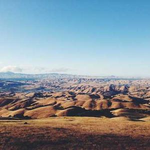 Organic Italian Seasoning