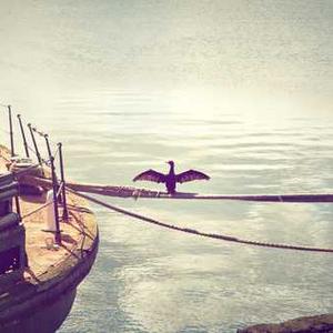 Almond Joy Snack Bars