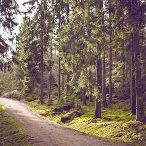 Sea Salt Caramel Brownie