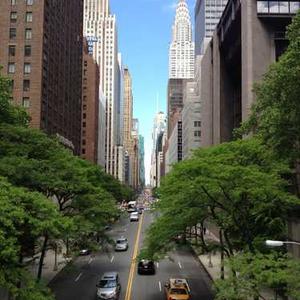 Adjustable Kitchen Broom Stand