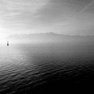 Vegetable Potstickers