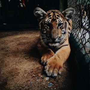Portable Charger with Solar Panel