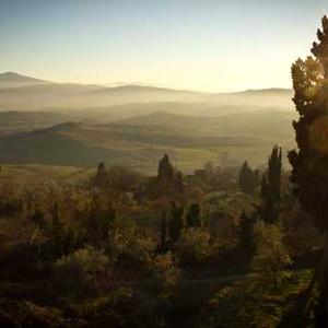 High-Pressure Handheld Shower Head