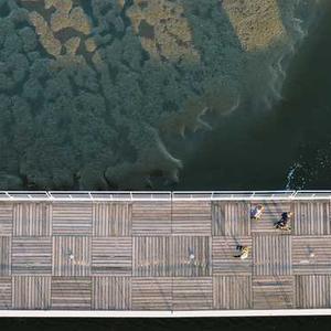 Adjustable Window Blind