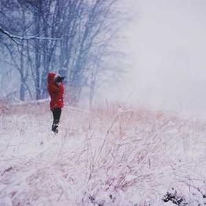 Almond Joy Munch Bars