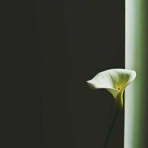 Sweet Chili Thai Sauce