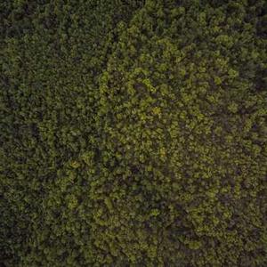 Multi-Purpose Scissors