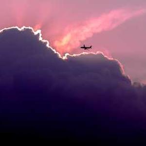 Black Bean Spaghetti