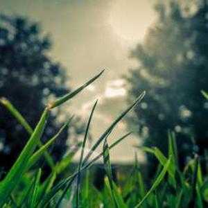 Compact Portable Grill