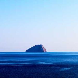 Vanilla Protein Powder