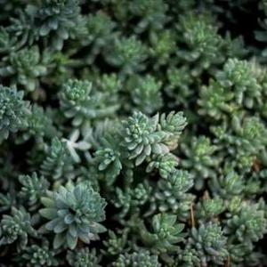 Samsung Galaxy Smartwatch