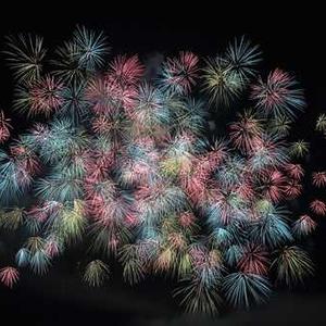 Multi-Functional Rice Cooker