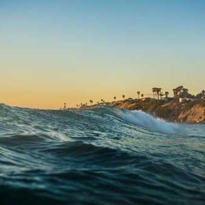 Chipotle Black Bean Burger