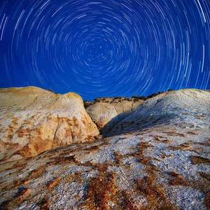 Chocolate Peanut Butter Cups