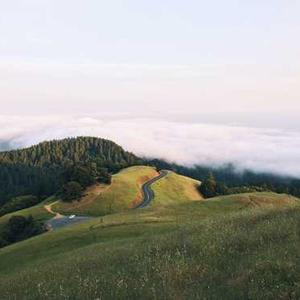 Chocolate Mint Protein Shake