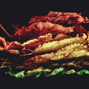 Multi-Purpose Marine Rope